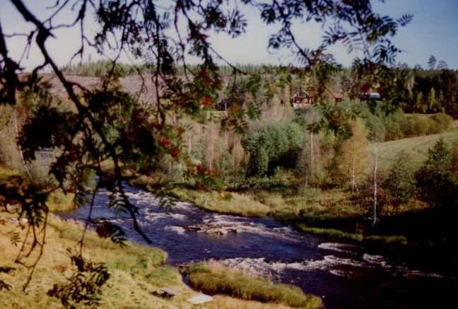 Utsikt