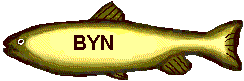 Byn