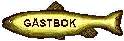G�stbok