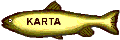 Karta