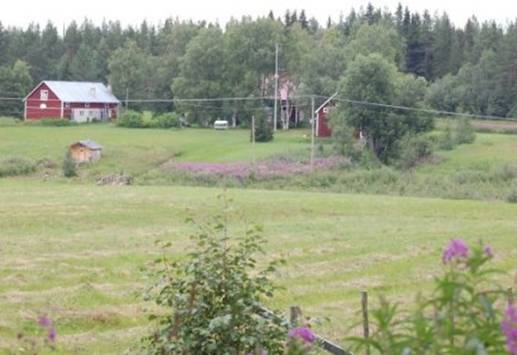 Sommar