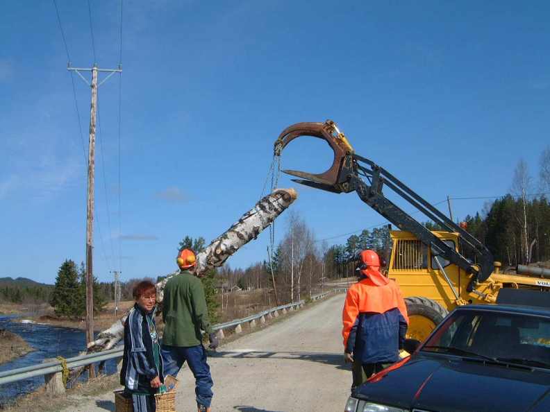 Röjning maj 2000