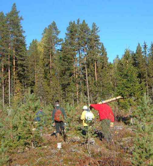 Mot Storflöje